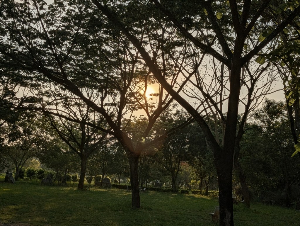 Tôi không đi một&nbsp;mình